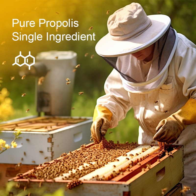 AMULYN Food Grade Oral Spray Custom Propolis with Rutin Natural Personalized Label Packed in Bottle