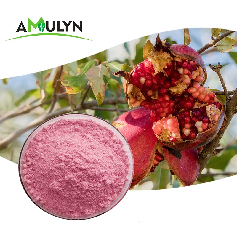 Pomegranate Bark Extract Powder Ellagic Acid