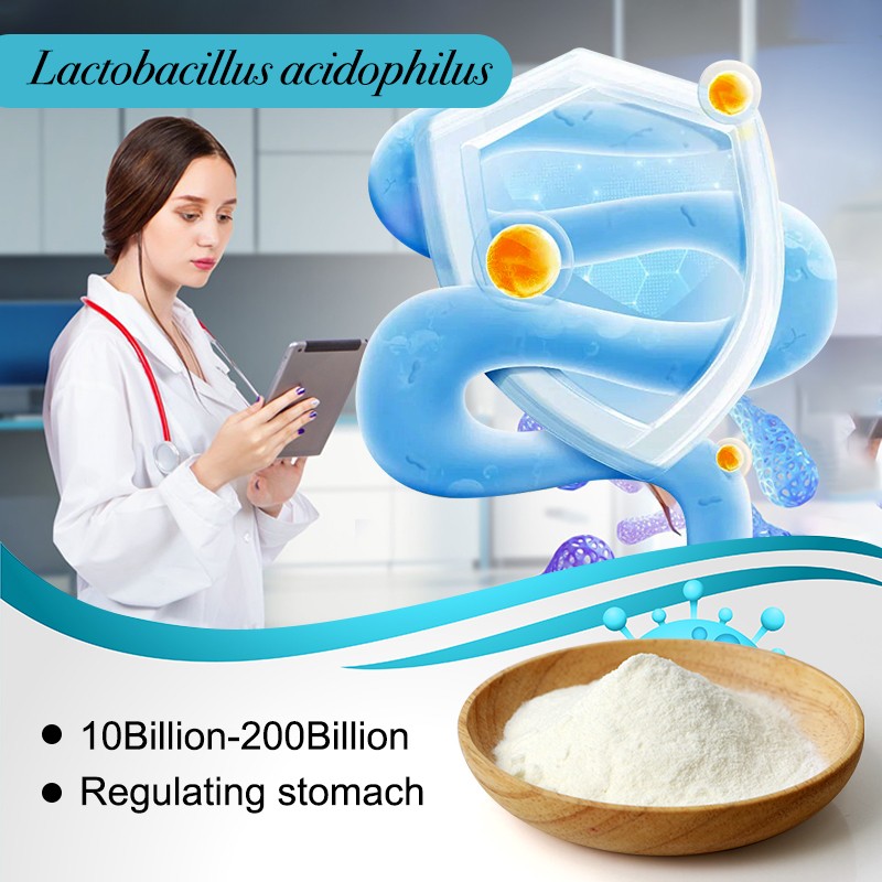 AMULYN Freeze-Dried Lactobacillus Acidophilus Powder Probiotics Supplement