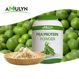 100% Organic Hydrolyzed Pea Protein Peptides Food Grade Organic Pea Protein Peptide Concentrate Powder