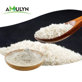 AMULYN Pure Natural Gluten Free Vegan Hydrolyzed Organic Rice Protein Powder