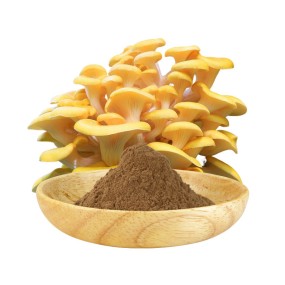 AMULYN Food Grade Natural High Quality Pleurotus Citrinopileatus Golden Oyster Mushroom Extract Powder Ergothioneine Powder