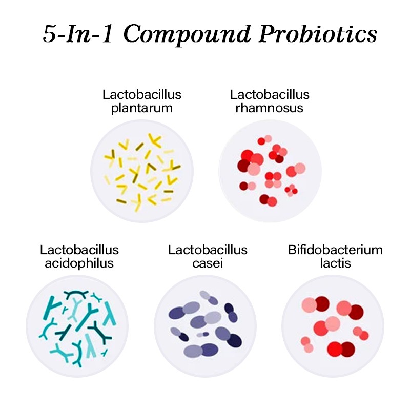 AMULYN Health Care Five Strains Complex Probiotic 5-In-1 Compound Probiotics Powder