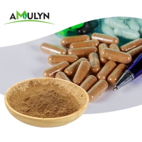 Wholesale Food Grade Passion Flower Extract Powder High Quality Herbal Extract in Vacuum Packed Drums
