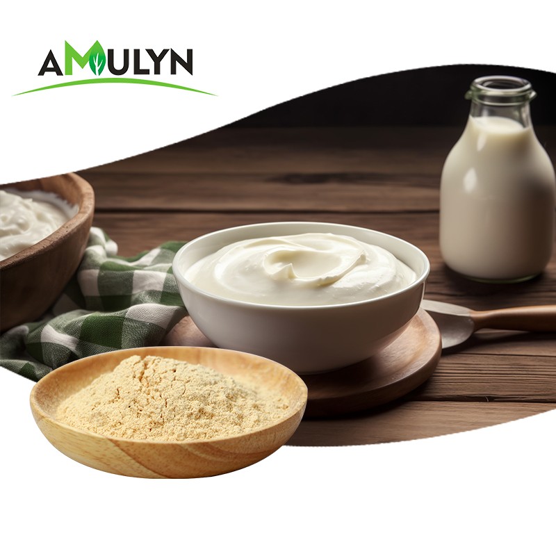 AMULYN 95% High Purity Soy Lecithin Powder Food Grade Emulsifiers CAS 8002-43-5 Best Price Additives