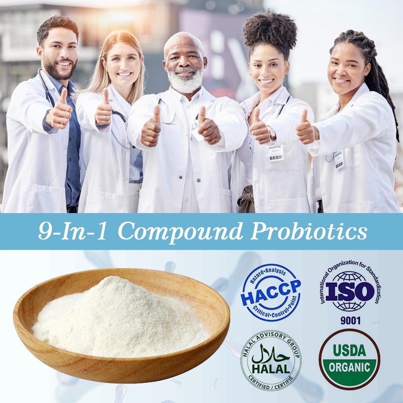 AMULYN High Quality Freeze-Dried Powder Probiotics in White Appearance Manufacturer Direct Pricing