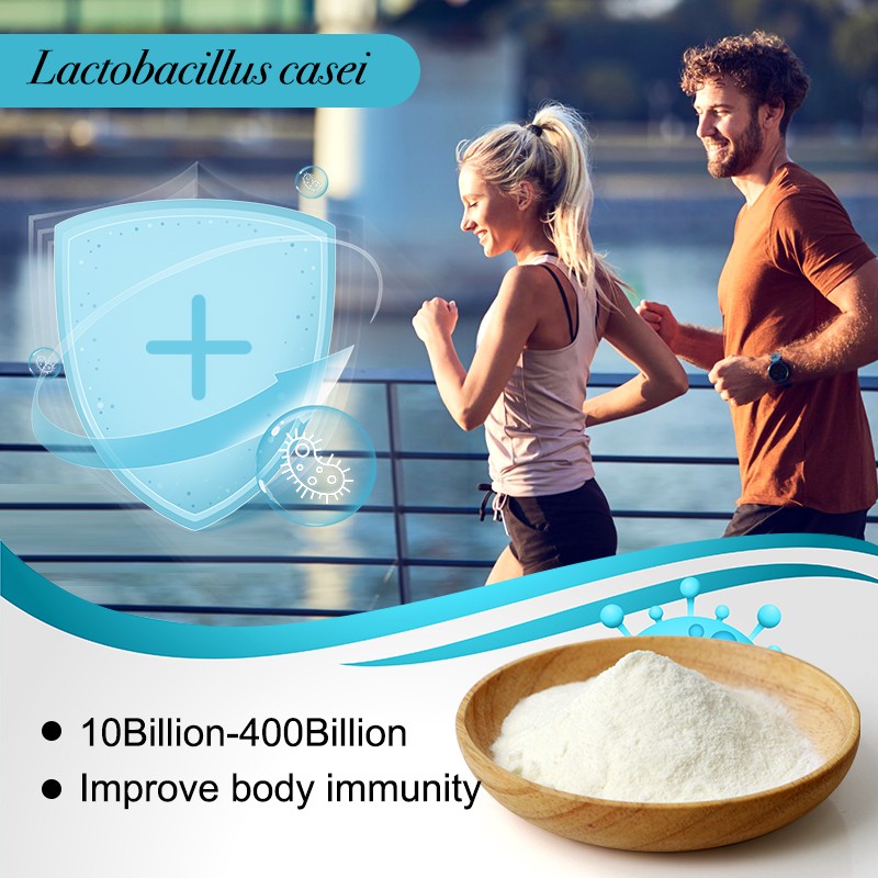 Food Additive Probiotics Powder Lactobacillus Casei for Dairy Products
