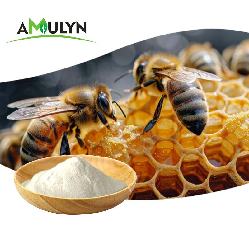 AMULYN High Quality Natural Drone Pupa Extract Powder Food Additives Supplements