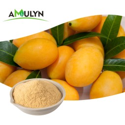 Fresh Dried mango Powder mango Juice Powder