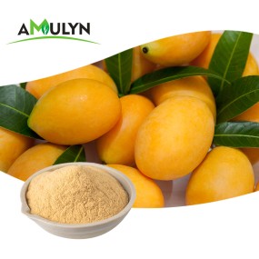 Fresh Dried mango Powder mango Juice Powder