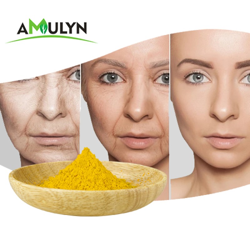 Supply Smoke Tree Extract Fisetin Powder 85% External Standardization