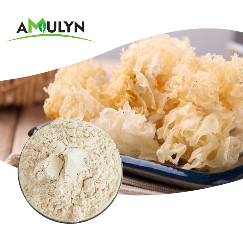 Best Seller Tremella Mushroom Extract Powder Polysaccharide Powder 10%-80%