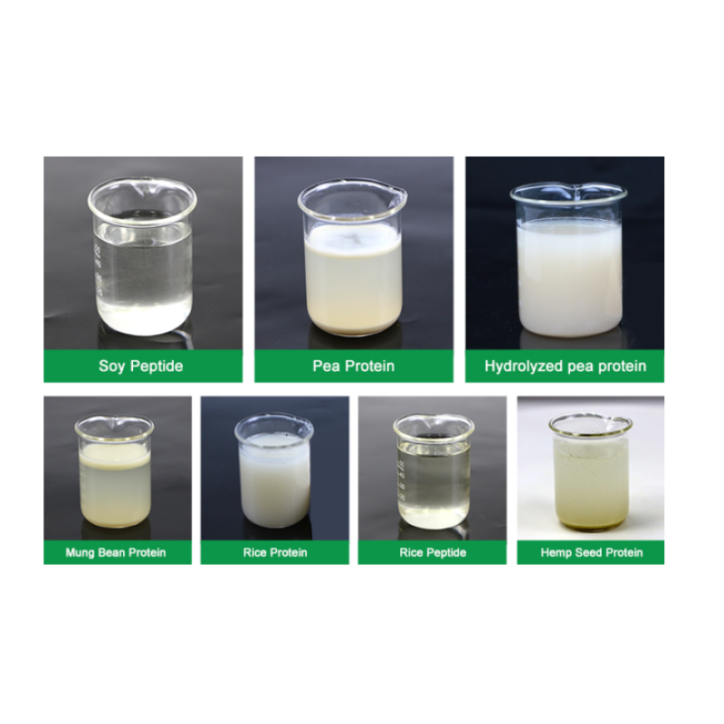 Vegan Vanilla Flavor Pea Protein Powder Hydrolyzed Pea Protein Pea Protein Isolate Powder