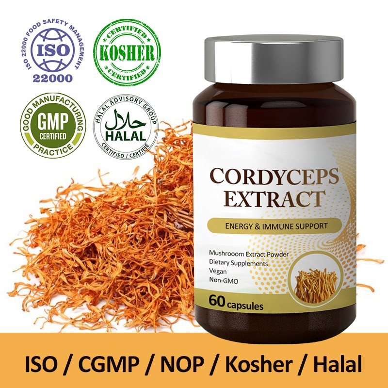 AMULYN Cordyceps Sinensis Mushroom Extract Capsules Dietary Supplement Cordyceps Militaris Capsule Cordyceps Gelules