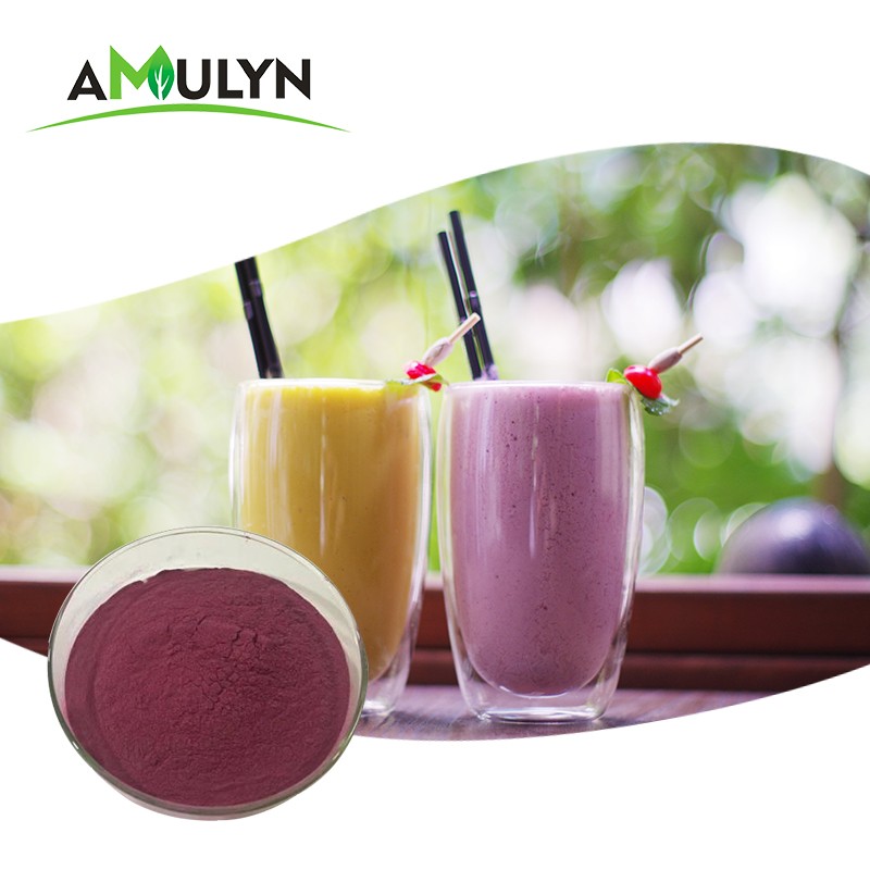 Natural Freeze Dried Acai Berry Fruit Powder Brazil Freeze Dried Powder