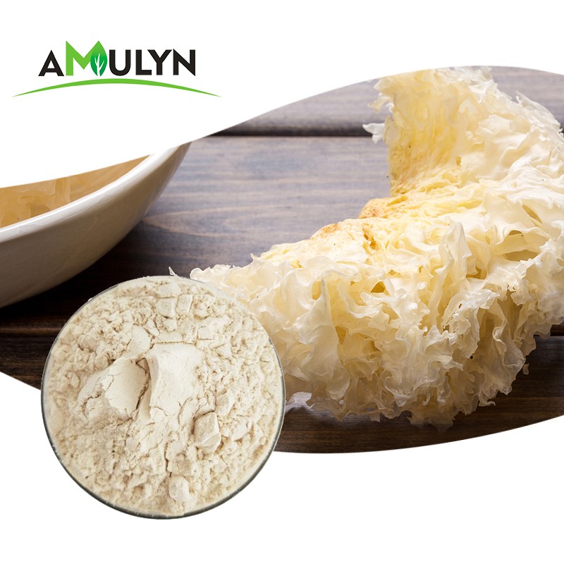 Best Seller Tremella Mushroom Extract Powder Polysaccharide Powder 10%-80%