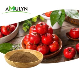 Supply Hawthorn Leaf Extract Powder 10:1 With Top Quality