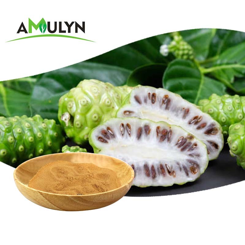Amulyn Factory Supply Food Grade Noni Extract Powder Best Price Natural Noni Fruit Juice Powder Vitamin Available Bottle Drum