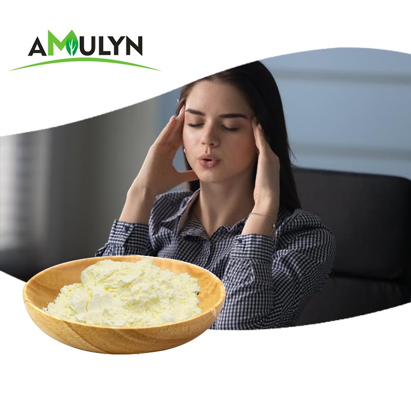 Natural Piper Methysticum Root Extract Kava Extract Powder Kavalactones 10% 30%