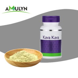 Chinese Factory Kavalactone 30% Pure Kava Extract Powder With High Quality