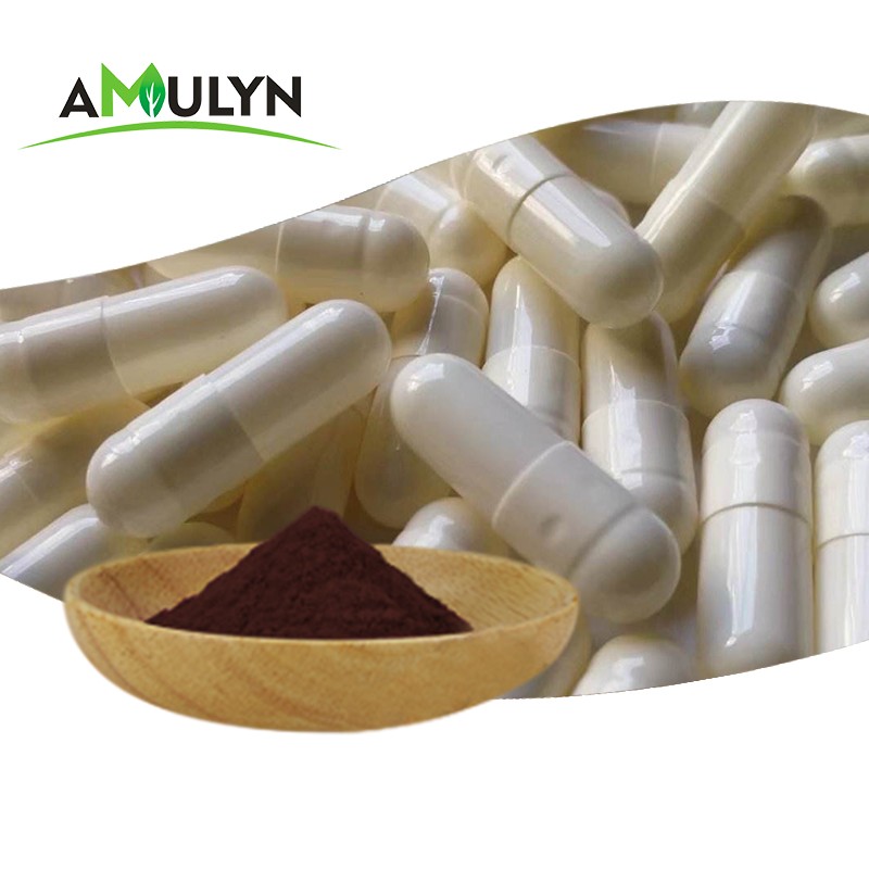 Organic 100% Natural Pure Chaga Mushroom Extract Powder