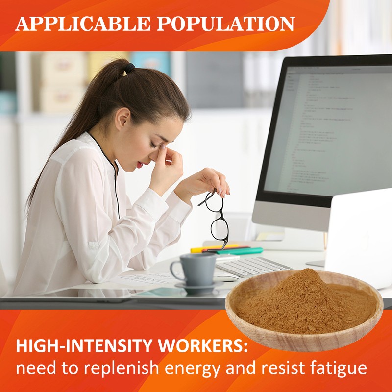 AMULYN Food Grade High Quality Cordyceps Extract Powder Natural Herbal Extract From Mushroom Root Factory Direct Packaging Drum