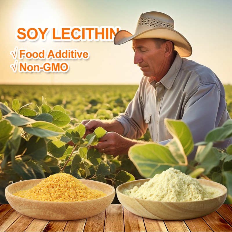 AMULYN 95% Non-GMO Soya Lecithin Granules Food Grade Soybean Extract for Food Additives