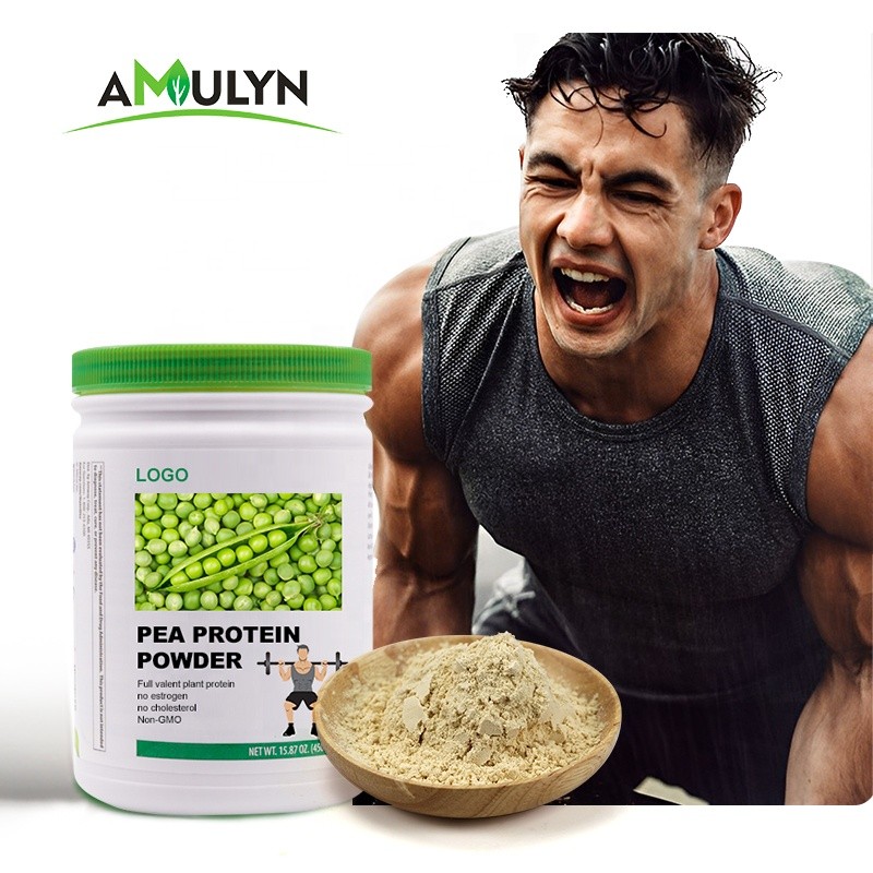 Chocolate Flavor Pea Protein Powder Hydrolyzed Pea Protein Pea Protein Isolate Powder