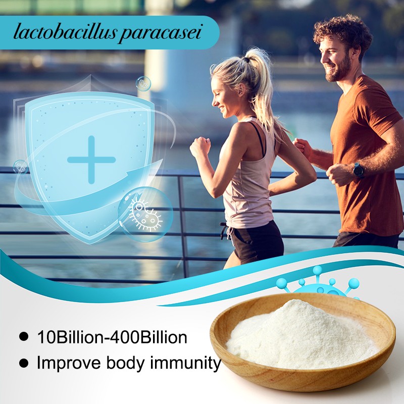 AMULYN Supply Freeze-Dried Lactobacillus Paracasei Probiotics Powder