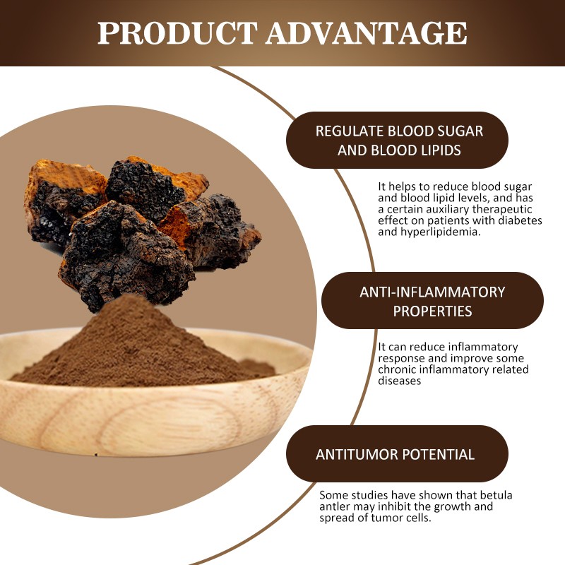 AMULYN Certified Organic Mushroom Extract 30% Polysaccharides Chaga Extract Chaga Powder