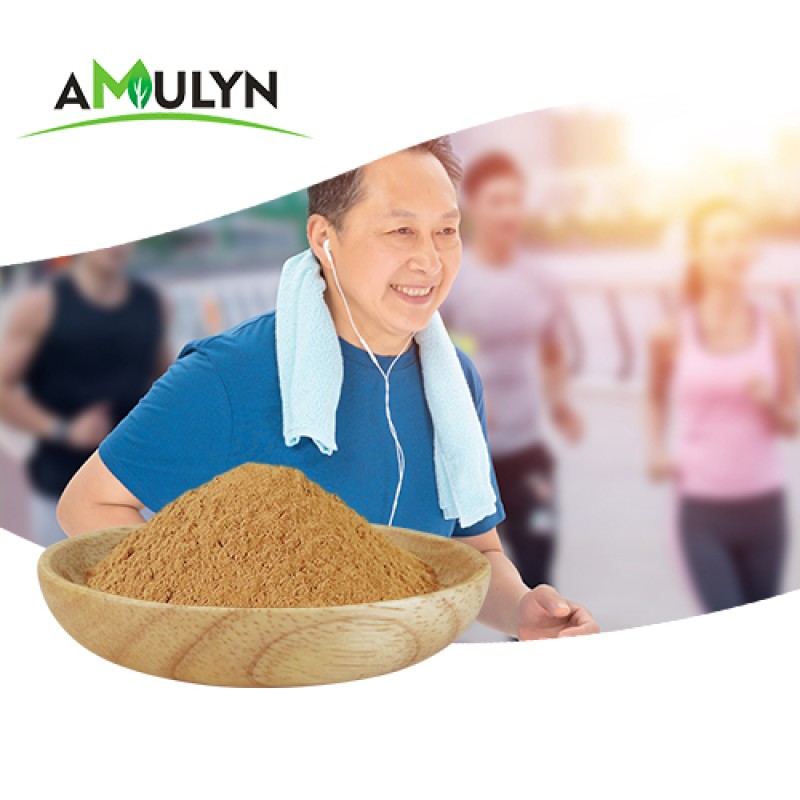 Wholesale Food Grade Passion Flower Extract Powder High Quality Herbal Extract in Vacuum Packed Drums