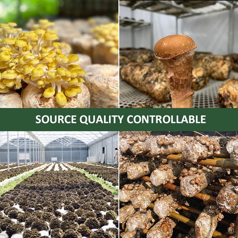 AMULYN Organic Pure Powder  OEM Shiitake Mushroom Extract Powder