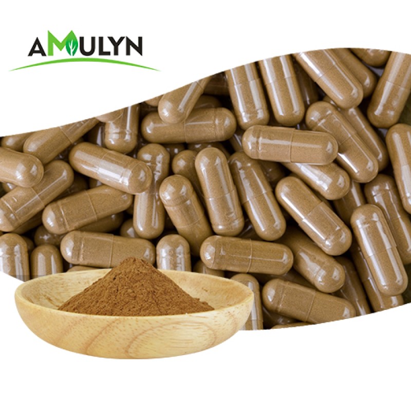 Organic Red Ling Zhi Reishi Mushroom Powder Ganoderma Lucidum Extract Polysaccharide 30% 40% 50%