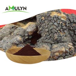Organic 100% Natural Pure Chaga Mushroom Extract Powder