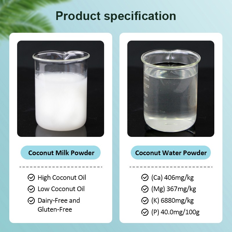 AMULYN Coconut Water Powder Pulp Spray Dried Coconut Milk Powder Coconut Powder