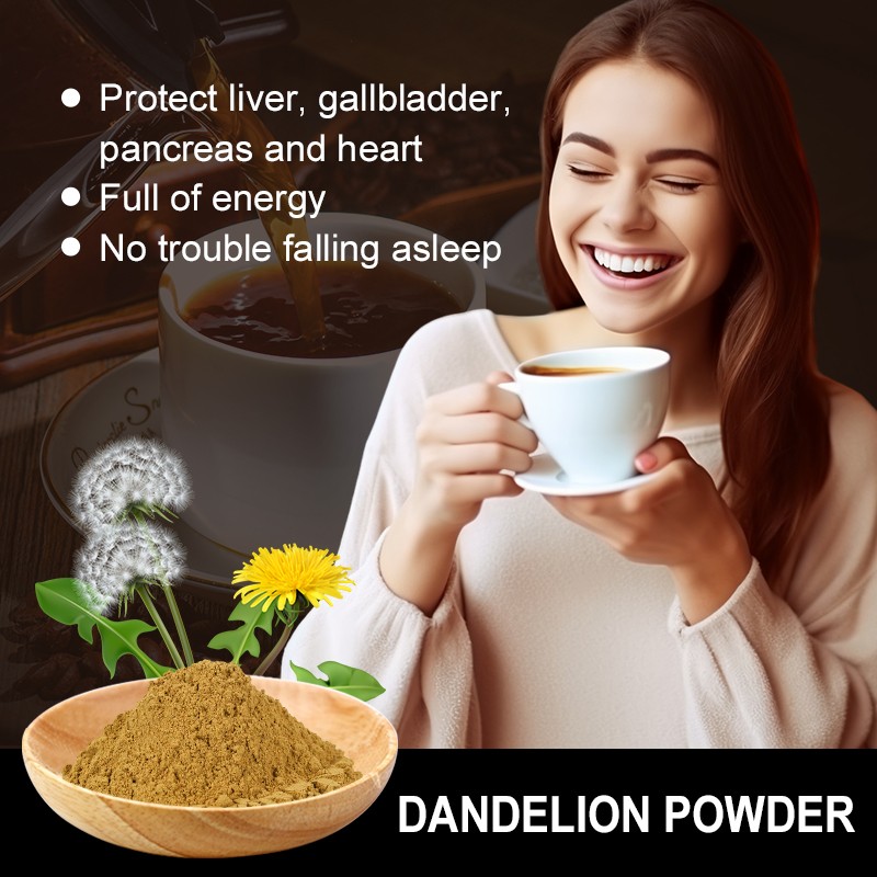 AMULYN Pure Dandelion Root Extract Flavonoids Powder for Coffee