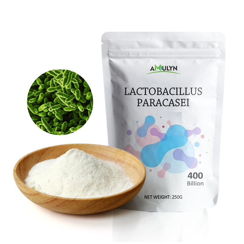 AMULYN Supply Freeze-Dried Lactobacillus Paracasei Probiotics Powder