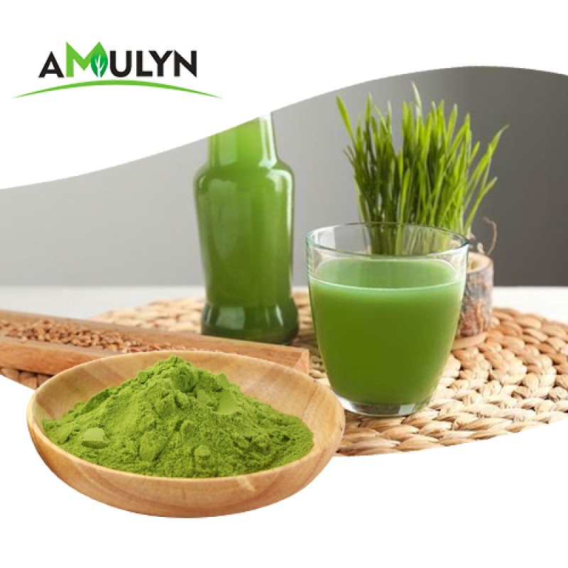 AMULYN Best Price 100%  Organic Green Wheat Barley Grass Juice Powder