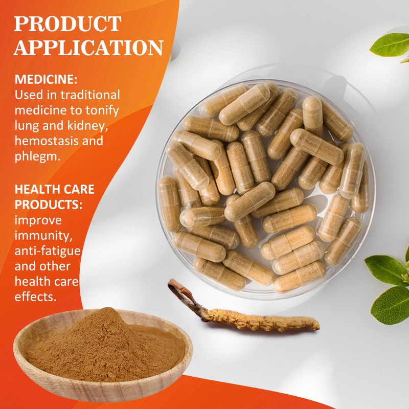 AMULYN Food Grade High Quality Cordyceps Extract Powder Natural Herbal Extract From Mushroom Root Factory Direct Packaging Drum