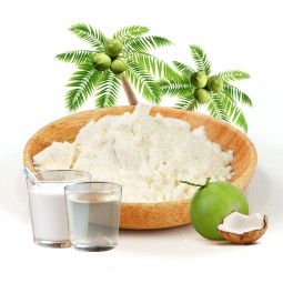AMULYN Coconut Water Powder Pulp Spray Dried Coconut Milk Powder Coconut Powder
