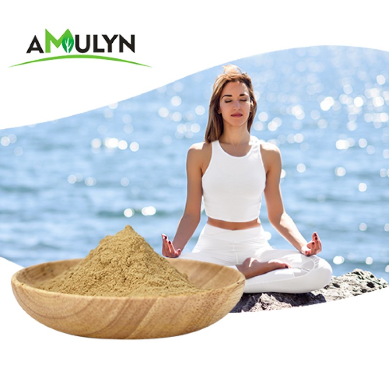 Wholesale Food Grade Passion Flower Extract Powder High Quality Herbal Extract in Vacuum Packed Drums