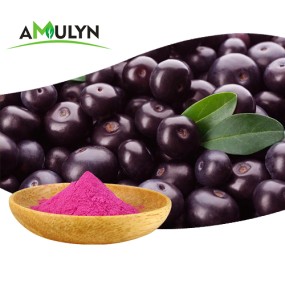 Natural Freeze Dried Acai Berry Fruit Powder Brazil Freeze Dried Powder