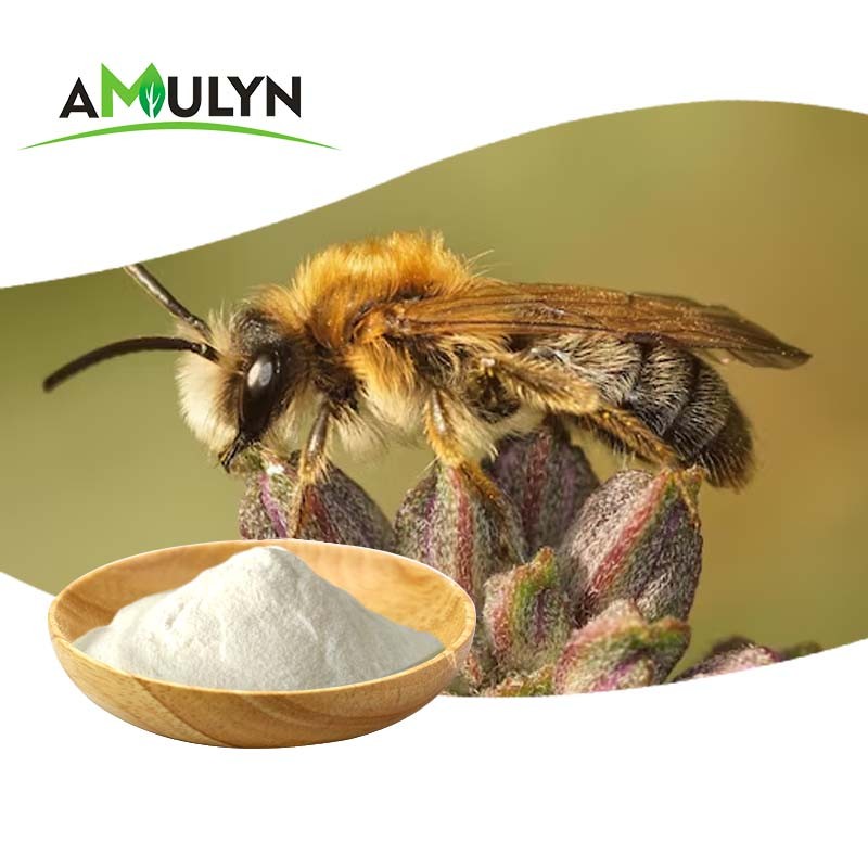 AMULYN High Quality Natural Drone Pupa Extract Powder Food Additives Supplements