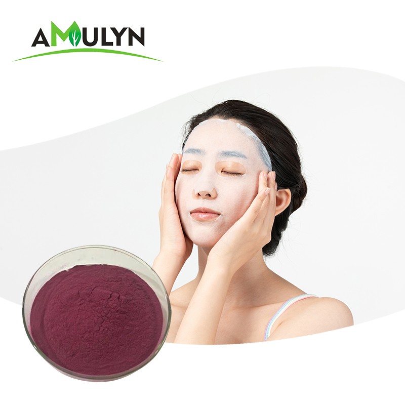 Natural Freeze Dried Acai Berry Fruit Powder Brazil Freeze Dried Powder