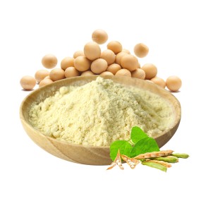 AMULYN Bulk Soya Lecithin Food Grade Cas 8002-43-5 Soy Lecithin 95% Powder/lecithin Granules