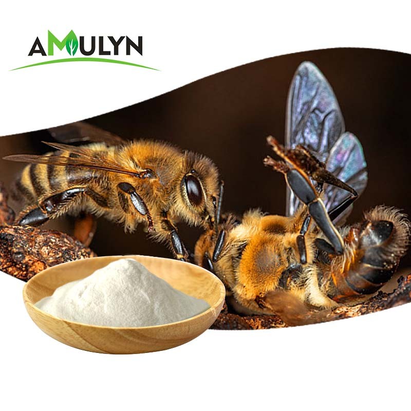 AMULYN High Quality Natural Drone Pupa Extract Powder Food Additives Supplements