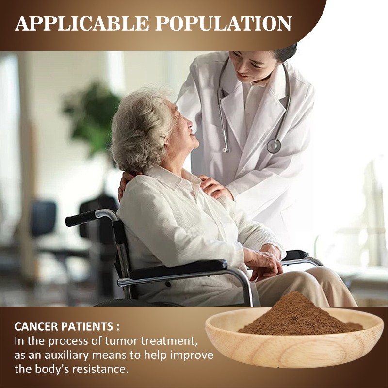 AMULYN Certified Organic Mushroom Extract 30% Polysaccharides Chaga Extract Chaga Powder