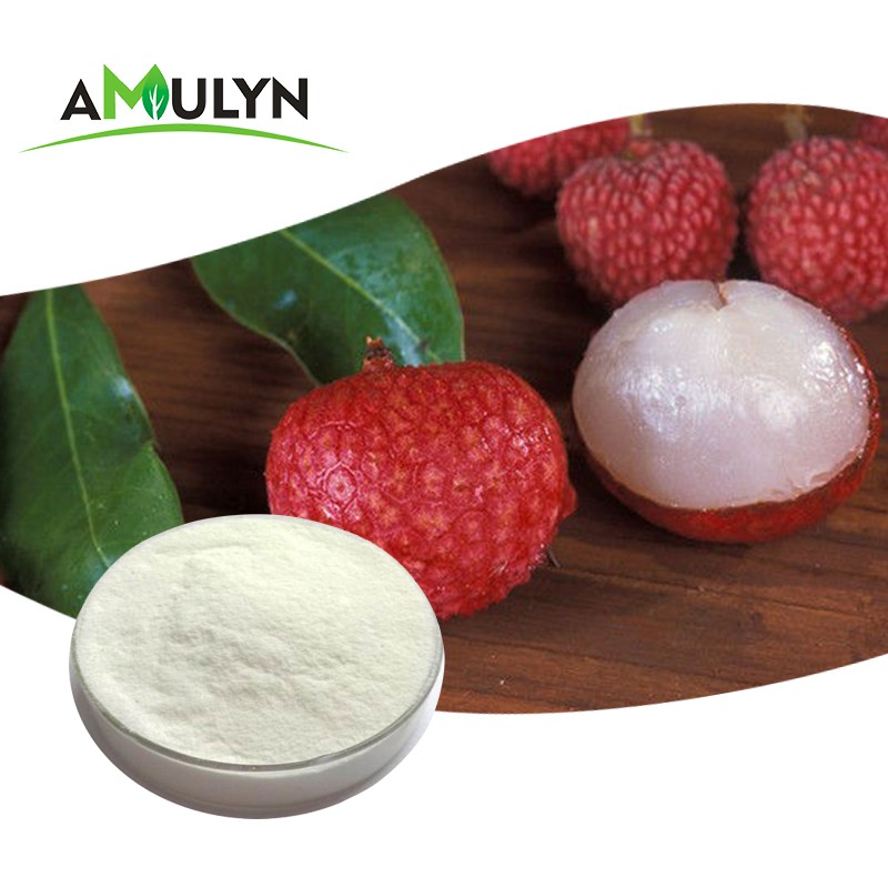 Litchi Fruit Powder Litchi Powder Pure Nature With Top Grade