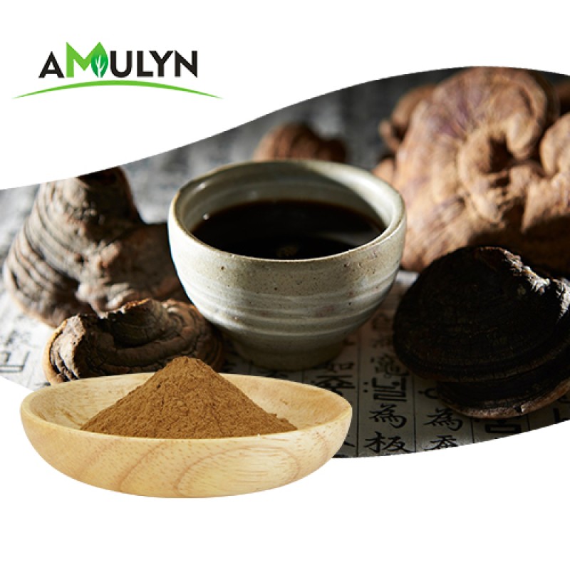 Organic Red Ling Zhi Reishi Mushroom Powder Ganoderma Lucidum Extract Polysaccharide 30% 40% 50%