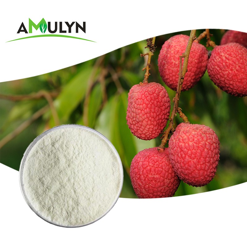 Litchi Fruit Powder Litchi Powder Pure Nature With Top Grade
